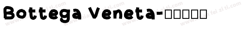 Bottega Veneta字体转换